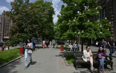 Украшение парков и скверов? Какое растение может стать новым символом Киева