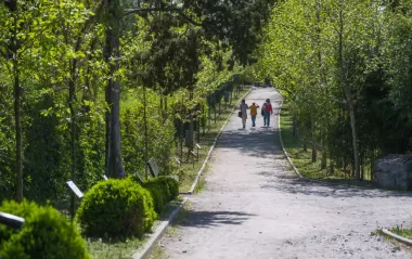 "Темне" минуле Ботсаду: що приховує улюблене місце киян