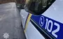 Житель Закарпатья получил подозрение в убийстве собаки
