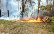На Харківщині триває ліквідація 11 лісових пожеж