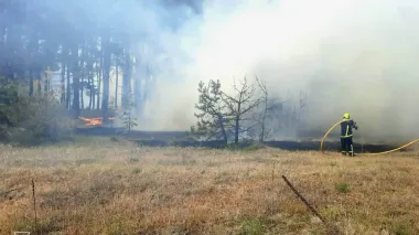 На Харківщині через пожежу готують евакуацію жителів, у лісі детонують боєприпаси