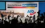 Поддерживают ли немцы запрет ультраправой партии "АдГ": что говорит опрос