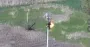 Українські бійці розбили укриття окупантів на Харківщині: відео