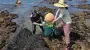 Плещутся в ледяной толще воды до 80 лет: ученые наконец раскрыли секрет "женщин моря" (фото)