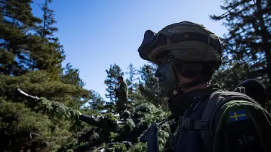 Финляндия проведет военные учения с Швецией и Британией по боевой стрельбе