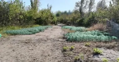 На Одещині двоє чоловіків можуть сісти на 3 роки, за те що наловили риби майже на 3 млн грн