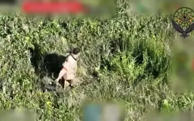 Occupier becomes Darwin Award nominee after picking up undetonated drone and fatally throwing it. VIDEO