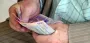 Вистачить на пачку макарон: пенсіонерам кинуть доплати від 200 гривень