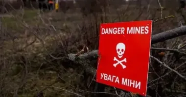 На Харківщині чоловік підірвався на протипіхотній міні