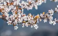 Праздники 6 мая 2025 года: именины, приметы
