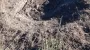 Enemy intensively shelling Sumy region: three victims, seven wounded reported – Administration