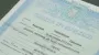 Ламинировать или нет: Минюст наконец развеял мифы о документах