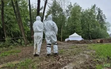 Exhumation of victims of Volyn tragedy in Ternopil region: remains of more than 42 people found. PHOTOS