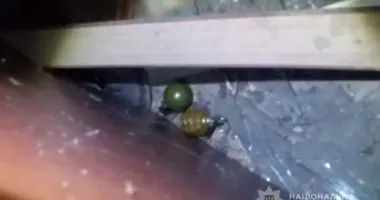 Поліція випадково виявила гранати у волинянина: йому загрожує 7 років