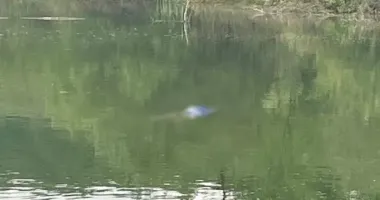 На Франківщині у водоймі виявили тіло невідомої жінки