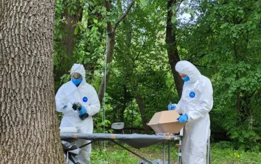 У Тернопільській області знайшли нові останки жертв Волинської трагедії: що відомо