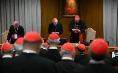 Before Conclave, Cardinals called for immediate ceasefire in Ukraine