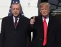 Миротворец Эрдоган: зачем Трампу понадобился помощник для мирных переговоров по Украине
