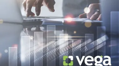 Telecom provider Vega increases revenue by 28% in 2024