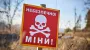 Знайшли в посадці міну: на Харківщині 2 чоловіків загинули, ще 1 поранений