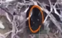 Defense Forces destroy field ammo depot, 5 enemy vehicles, and 5 occupiers’ positions in Kharkiv region. VIDEO