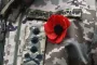 8 травня: який сьогодні день, традиції та заборони
