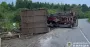 На Львівщині перекинулася вантажівка з дровами: постраждала людина
