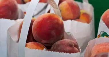 В Україні очікують дефіцит персиків та абрикос - експерти називали причини