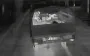 Kamikaze drone flies into back of truck carrying three occupiers. VIDEO