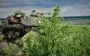 ВСУ восстановили позиции в Харьковской области - DeepState