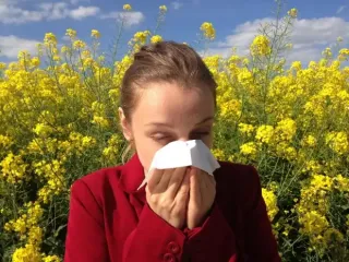 Душ, очки и закрытые окна: как облегчить симптомы аллергии
