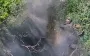 Minus 18 occupiers: drone operators from "Hostri Kartuzy" unit catch Russians in "greenery". VIDEO