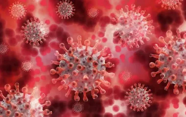 В Європі вперше виявлено таємничий вірус: від нього немає вакцини