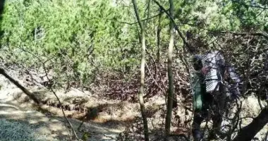 На Буковине пограничники задержали экстремальных туристов с Харьковщины