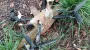 Kherson resident in critical condition after drone attack