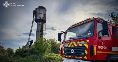 На Черниговщине спасли двух аистов, упавших в заброшенную водонапорную башню