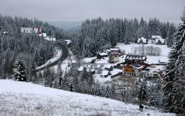 Карпаты накрыла "майская зима": что творится и куда не стоит идти (фото, видео)