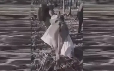 Donkey from Russian army has dropped his load and is trying to escape from Russians: "Stop, bitch! Where are you going, f#ck! Stop, f#ck!". VIDEO