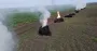 Заморозки на Волыни: фермеры спасают урожай огнем