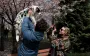 Для собак - обязательно: ЦНАПы Киева запускают важный сервис для владельцев животных