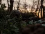 Новопавловское и Покровское направления остаются самыми горячими на фронте
