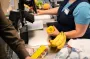 Фрукты подорожают на 25%, но овощи станут дешевле: что ждать украинцам летом