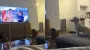 Собака смотрела телевизор и узнала своего хозяина: реакция питомца удивила людей (видео)