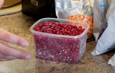Заморозка ягод: как долго они остаются вкусными и полезными, допустимый срок хранения