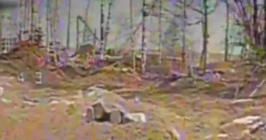 Прикордонники показали, як полюють на артилерію росіян під Вовчанськом