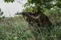 Что происходит на фронте — отчет Генштаба ВСУ
