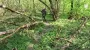 Ukraine's Special Operations Forces publish footage of how they killed Russian assault group in Russian rear