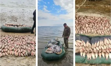 Хто ловить браконьєрів, а хто перевіряє заводи: як не загубитися серед "екологічних контролерів" в Україні