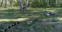 За добу українські прикордонники збили 6 ворожих "шахедів" та 12 FPV-дронів