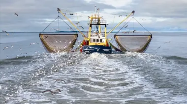 Самое жуткое место: ученые впервые засняли таран, несущийся по морскому дну и уничтожающий все живое